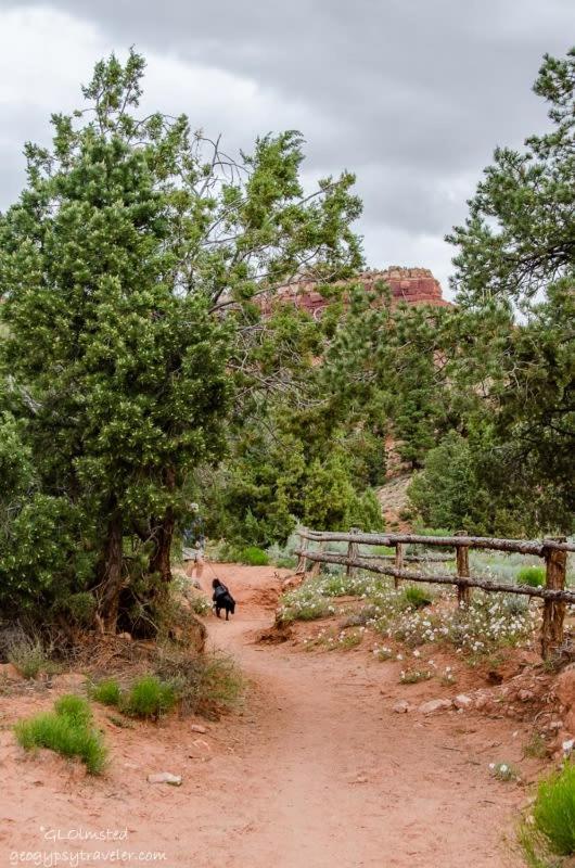 Timber & Tin G 2Bed 2Bath W Pool & Rooftop Deck Kanab Exterior foto